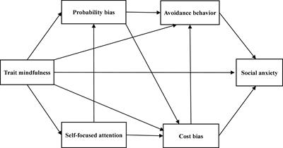 Self-focused attention, cost/probability bias, and avoidance behavior mediate the relationship between trait mindfulness and social anxiety: A cross-sectional study